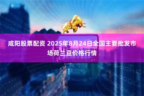 咸阳股票配资 2025年8月24日全国主要批发市场荷兰豆价格行情