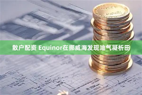 散户配资 Equinor在挪威海发现油气凝析田