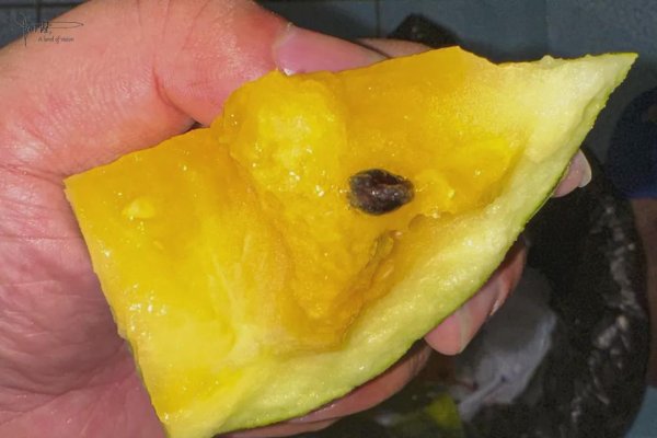 散户配资 剽窃摄影作品参赛的情况比比皆是，何以专搞辽宁？权利之争作祟尔